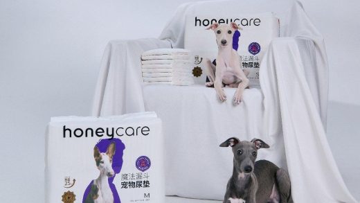 The "golden decade" of China's pet economy